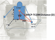 Figure 2: The L3MCP-TCOM resultant distance (D) and its vertical (VD) and horizontal (HD) components. An upper body diagram composed of basic geometric shapes shows the L3MCP-TCOM resultant distance (D), which is the distance between the center of mass of the trunk and the 3rd metacarpophalangeal joint and its vertical and horizontal components. The vertical component of D is the distance parallel with the global z axis. The horizontal component of D is the distance parallel with the global x-y plane. The body diagram is placed over a faded background of Figure 1 as a subject would appear during a wheelchair transfer.  